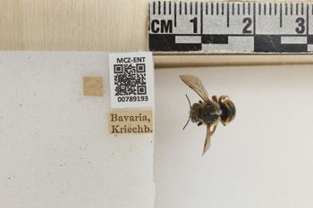 Media type: image;   Entomology 789193 Aspect: Labels